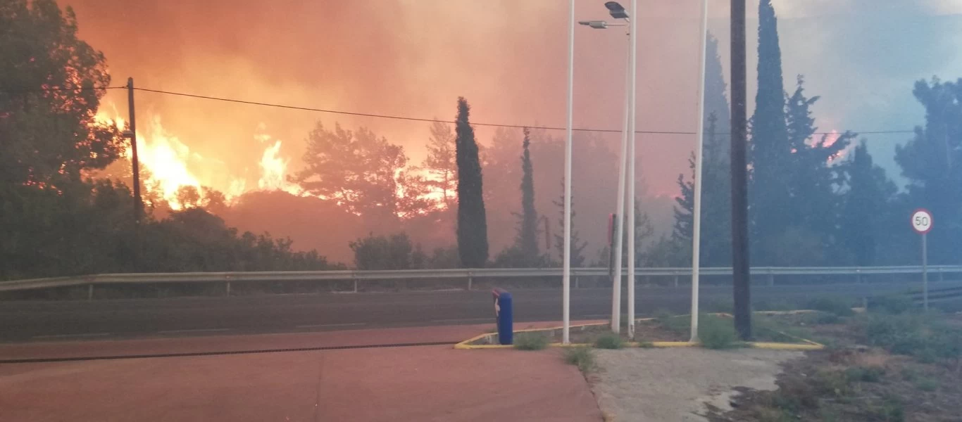 Σάμος: Ολονύχτια μάχη των πυροσβεστών με τις φλόγες